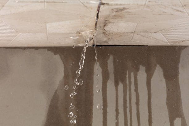 Professional Water Damage Inspection technician working in Clovis, NM